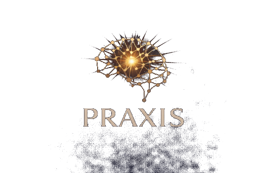 Praxis Brain Logo